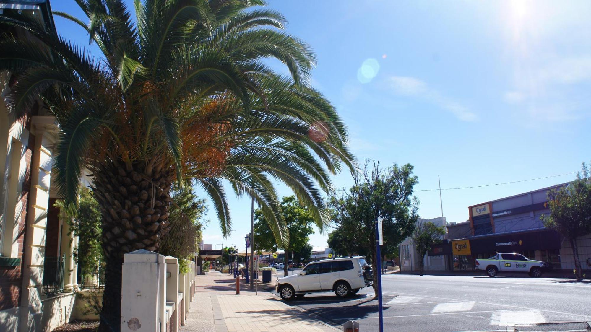 Motel Myall Dalby Zewnętrze zdjęcie